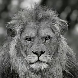 ������, ������, 30 ���