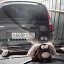 ���� Pavel, ������, 53 ���� - ��������� 30 �������� 2023 � ������ ���� ����������