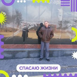 �����, ���������, 42 ����