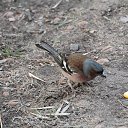 ���� Dunja, ������ - ��������� 14 ����� 2023 � ������ ���� ����������