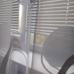 ����, ����, 60 ���