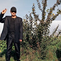 ��������, ������, 65 ���