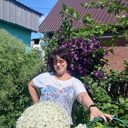 �����, ���������, 57 ���