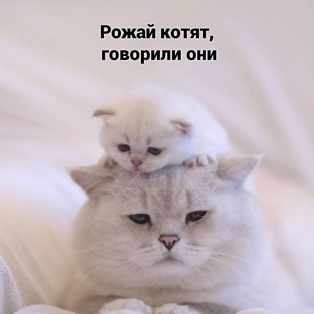 , 