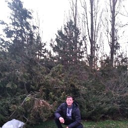 ���������, ��������, 49 ���