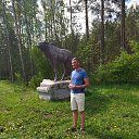  , -, 53  -  15  2023    