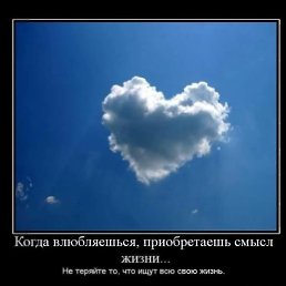  Hjvfyhjvfy1988, , 60  -  15  2023