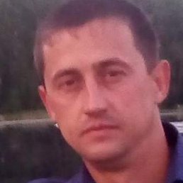 ���������, �����, 41 ���