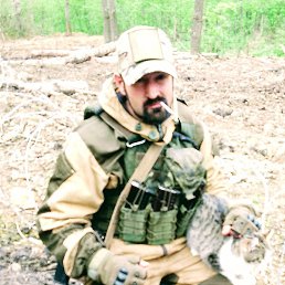 �������, �������, 38 ���