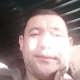 ��������, ����, 44 ����