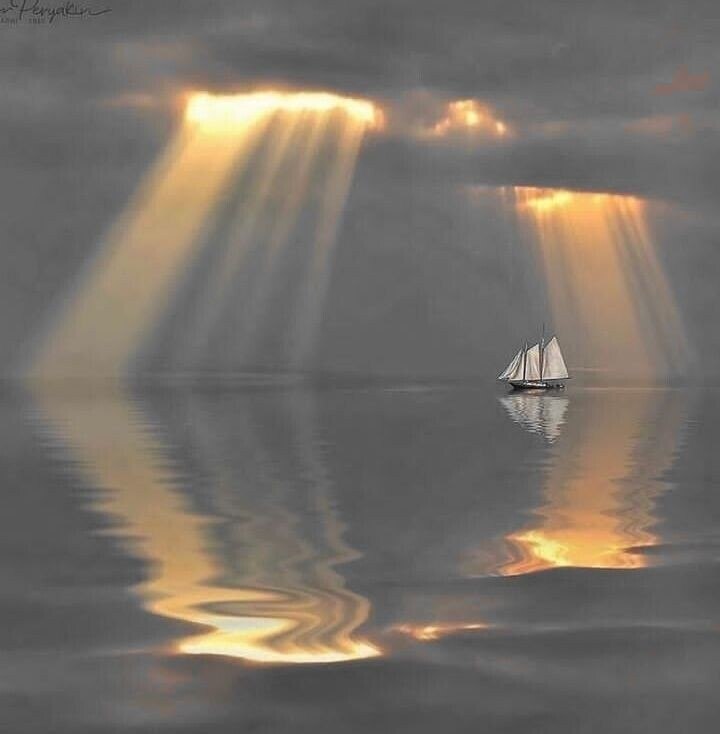  ! ====================     ,    ... ...