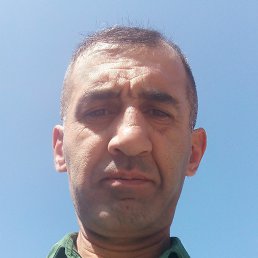 ���������, �����������, 41 ���