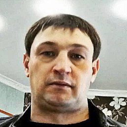 �����, �����-���������, 41 ���