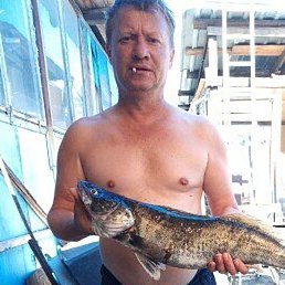 ������, ���������, 55 ���