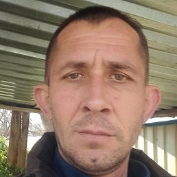 ������, ����������, 43 ����