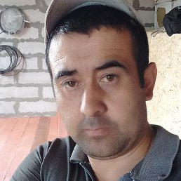 ������, ������, 37 ���