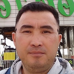 ������, ������, 41 ���