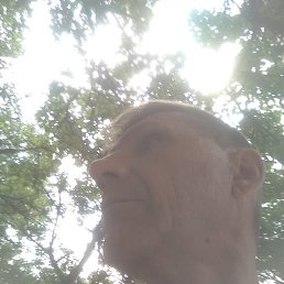 ����, ���������, 53 ����