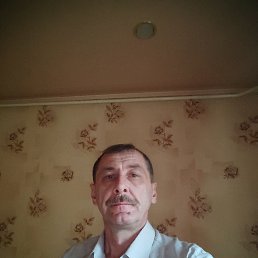 , 52 , 