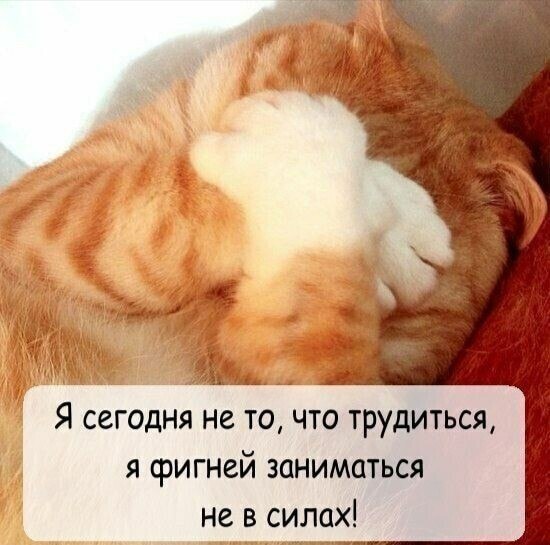   - 9  2023  08:26