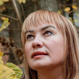 ������, ������, 49 ���