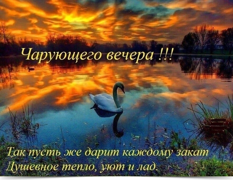 �������������������������������