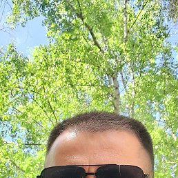 ����, �������, 40 ���