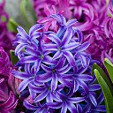 ���� Evi, ������ - ��������� 17 �������� 2023 � ������ ���� ����������