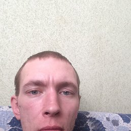 ���� �������, ���������, 33 ���� - ��������� 3 ����� 2023