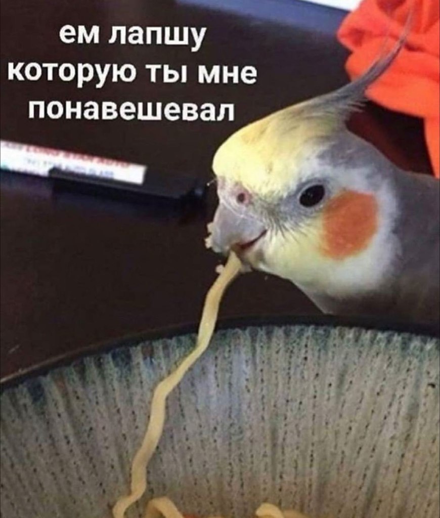    - 29  2023  22:16