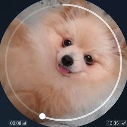 ����, �����������, 37 ���