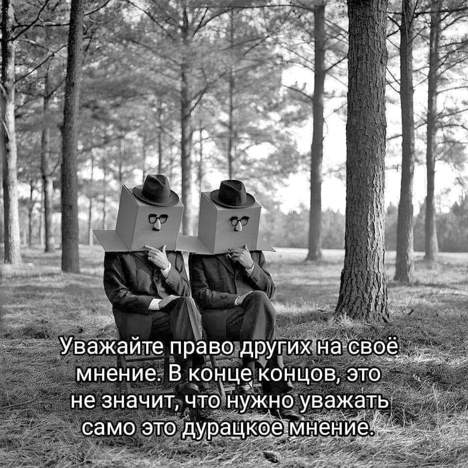 " ") - 6  2023  08:36
