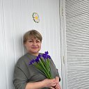 ���� ��������, ������, 54 ���� - ��������� 1 ����� 2023 � ������ ���� ����������