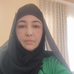 ���� ������, �����, 43 ���� - ��������� 29 ������� 2023