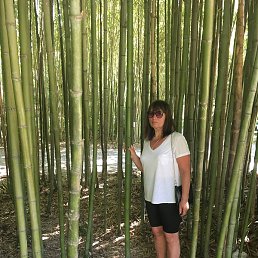 ������, ������, 60 ���