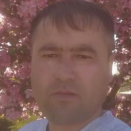 ���, ���������, 39 ���