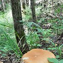 ���� �����, �������, 56 ��� - ��������� 20 ���� 2023 � ������ ���� ����������