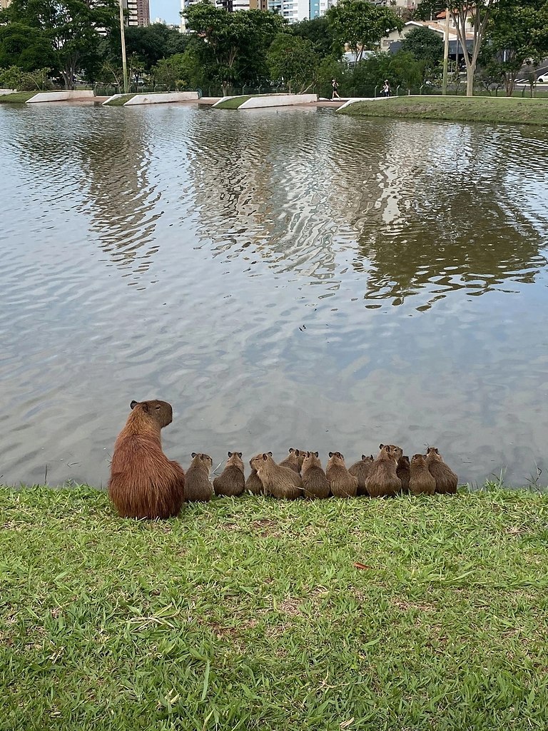p yp   