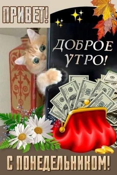  - 24  2023  10:37