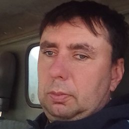 �����, ���������, 46 ���