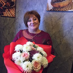 ���� �������, ���������, 49 ��� - ��������� 8 ������ 2023