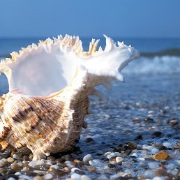 �����, ����, 25 ���