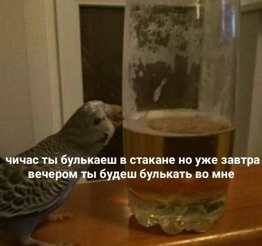    - 8  2023  12:31