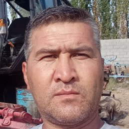 �����, �����, 40 ���