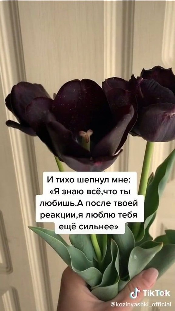   ,   : - 9