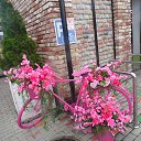 ���� ��������, �����-��������� - ��������� 4 ���� 2023 � ������ ���� ����������