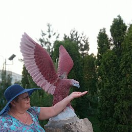 ����������, ���������, 69 ���