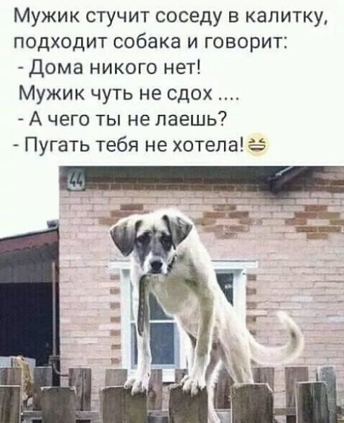   ! - 11  2023  11:47