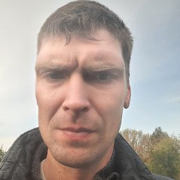 �������, ������, 41 ���