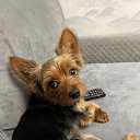 ���� ��������, ��������, 53 ���� - ��������� 3 �������� 2023